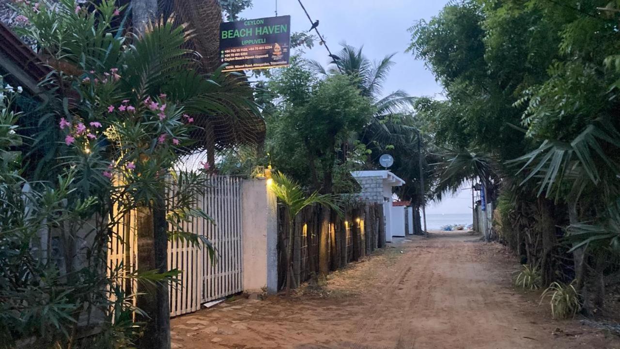 Ceylon Beach Haven Uppuveli ตรินโคมาลี ภายนอก รูปภาพ